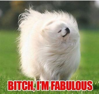 Illustration for article titled I am obsessed with the meme "Bitch, Please! I'm Fabulous."